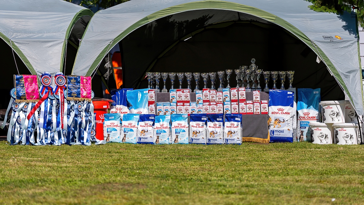 20240525 094239 A0 00291 De