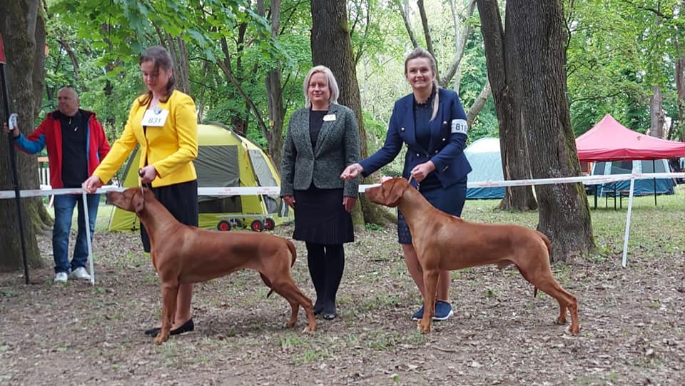 347034681 233967385915373 724333528898319400 n