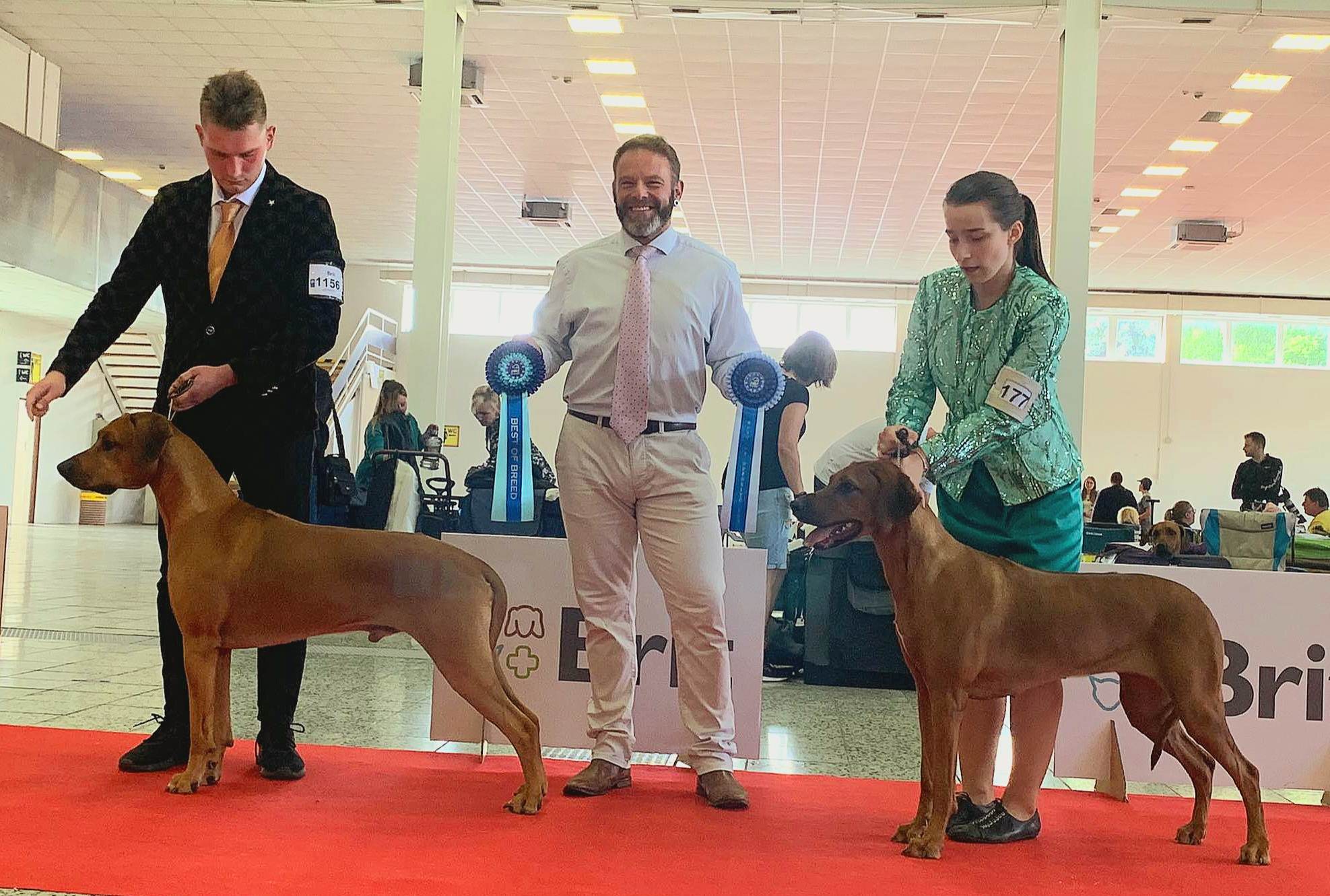 348383044 1293418417953785 370733618596147870 n