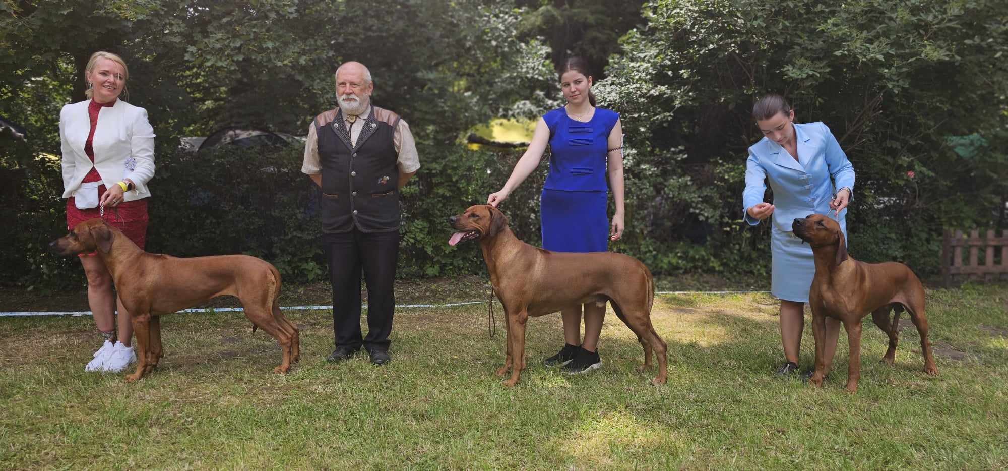 357989129 1210479762974277 3334425878048535468 n