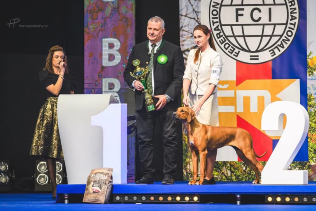 BIG 1 JUNIOR 15.02.2025