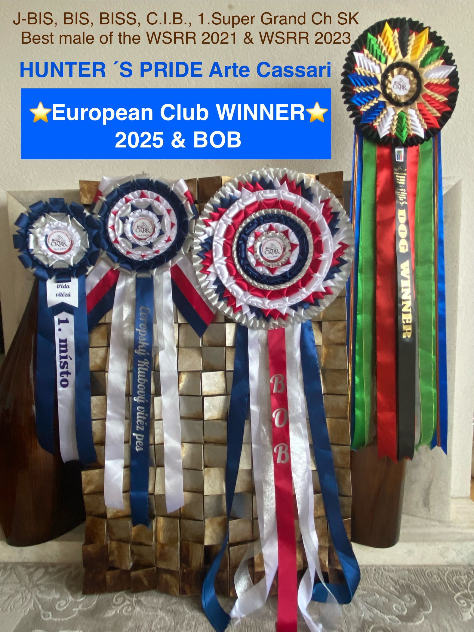 Hunterove kokardy Európsky KV 2025 BOB