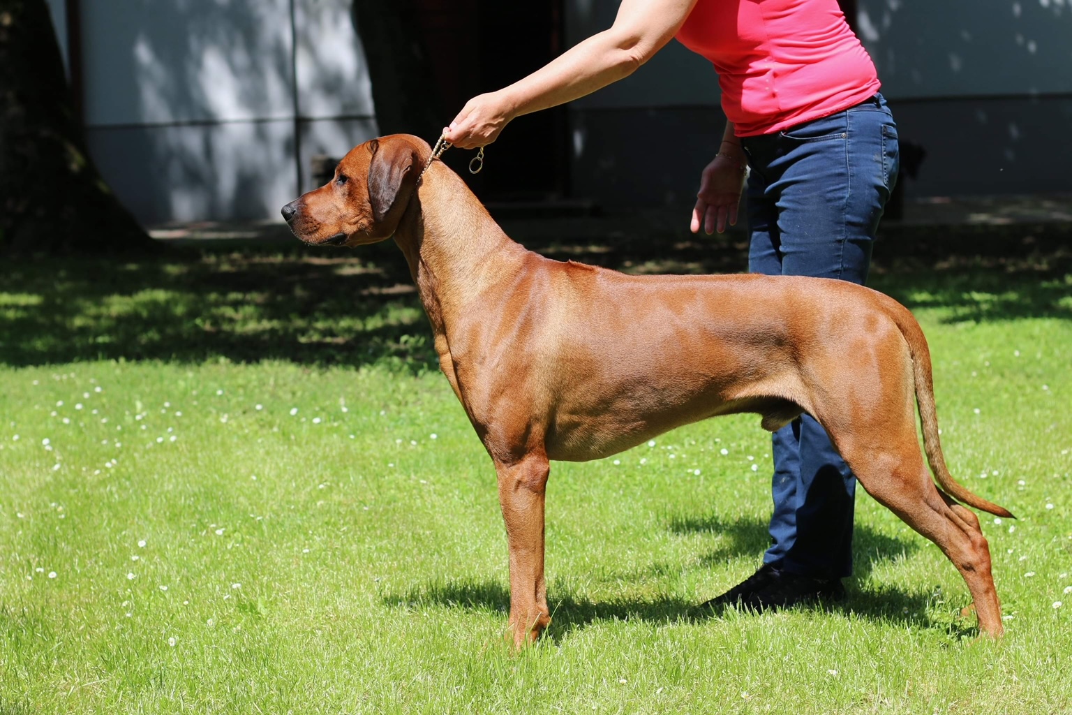 Archibald Moyo Simba