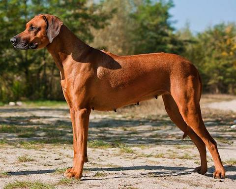 12273172 1078272272191375 700687620 n