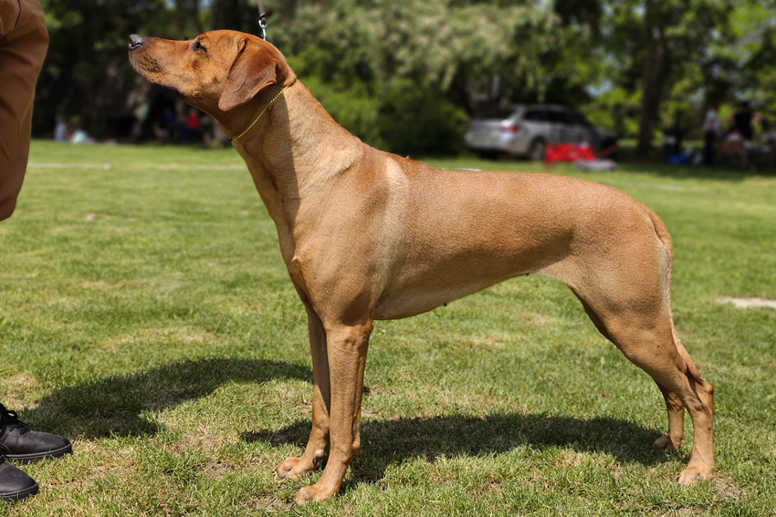 Tusani Happy DalilaMENSIE