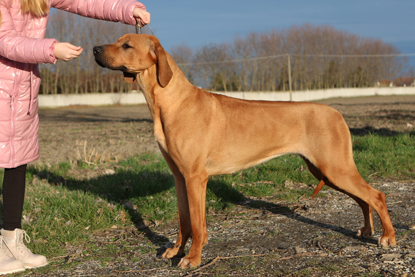 Zamzam mensieIMG 1904