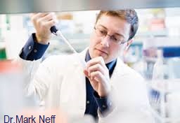 Dedicna hluchota Neff