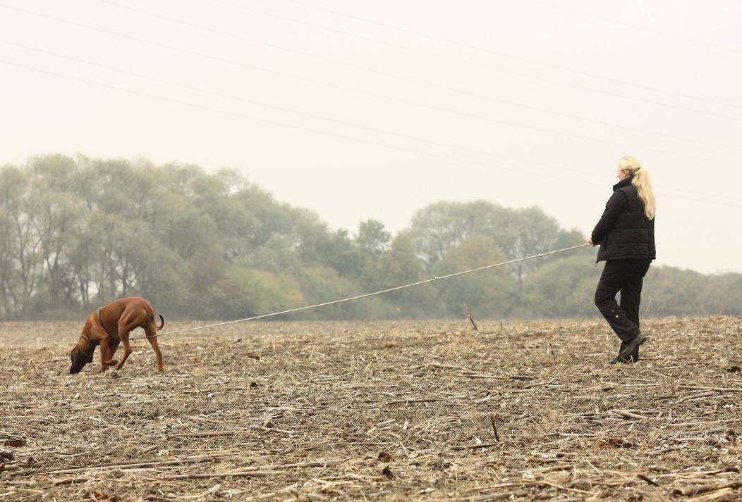 10996776 10205406583834473 6286997094193092319 o