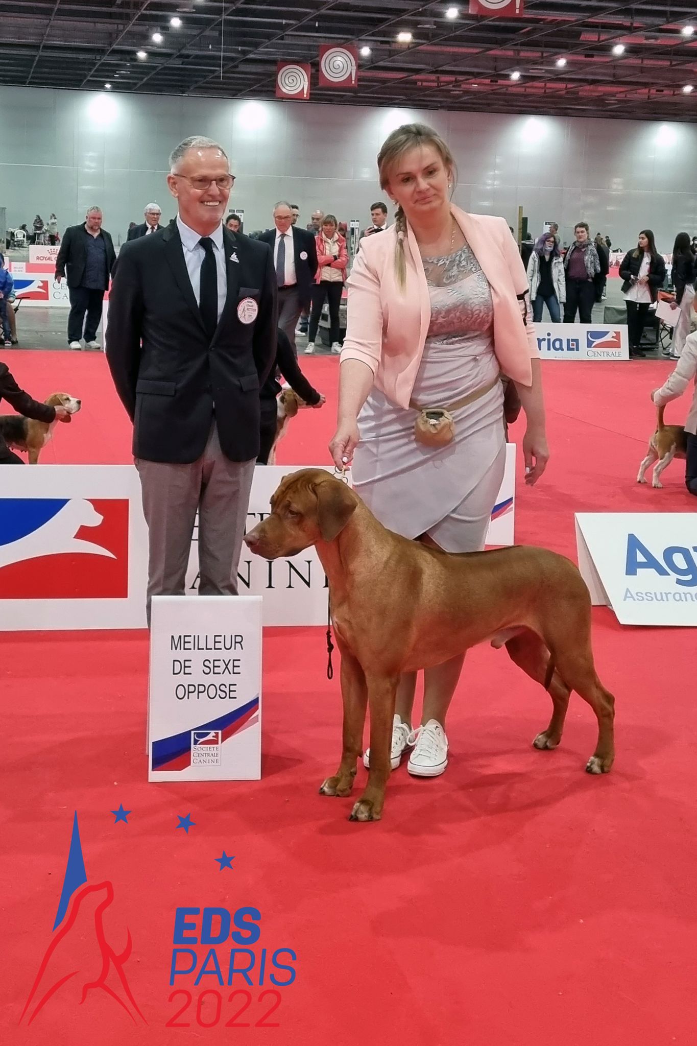 279025959 1048066782744736 2826546929243387616 n