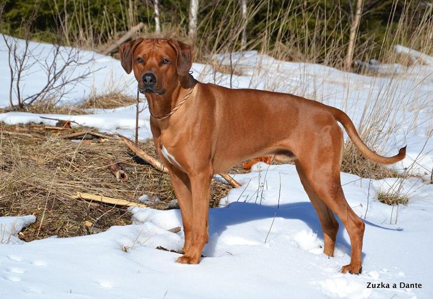 11051979 628487043952837 7860357051468255923 n