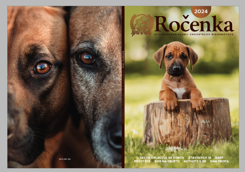 rocenka 2024 titulka