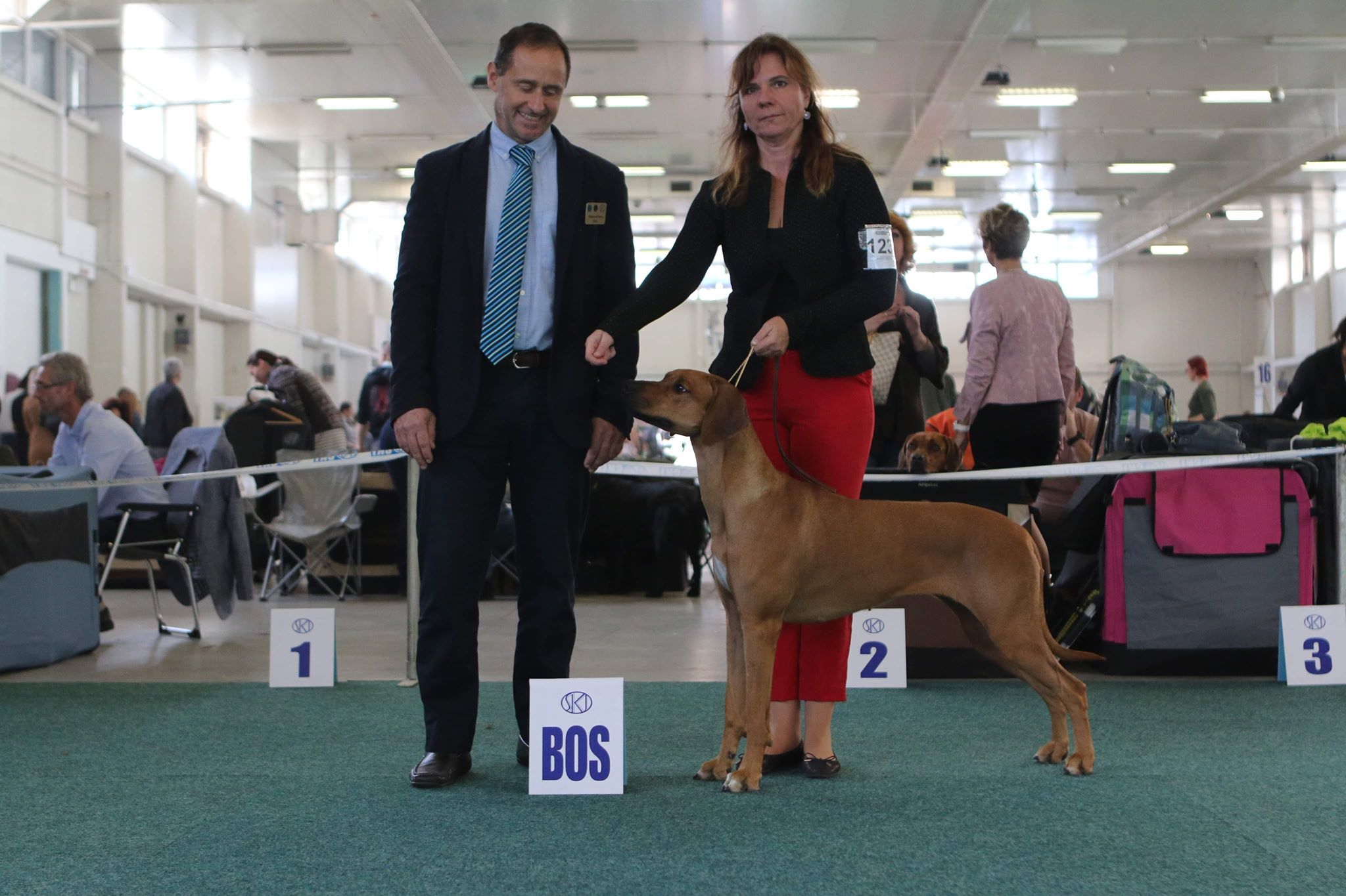 Coco Chanel AC CACIBBA BOS